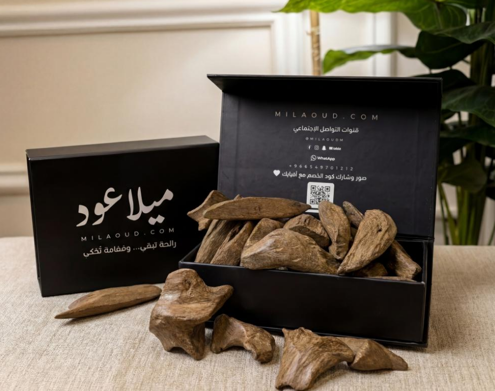 عود موروكي الأصقوني الطبيعي